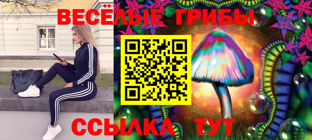 Псилоцибиновые грибы ЛСД  Вход с VPN  Псилоцибиновые грибы GOLDEN TEACHER  Ефремов 